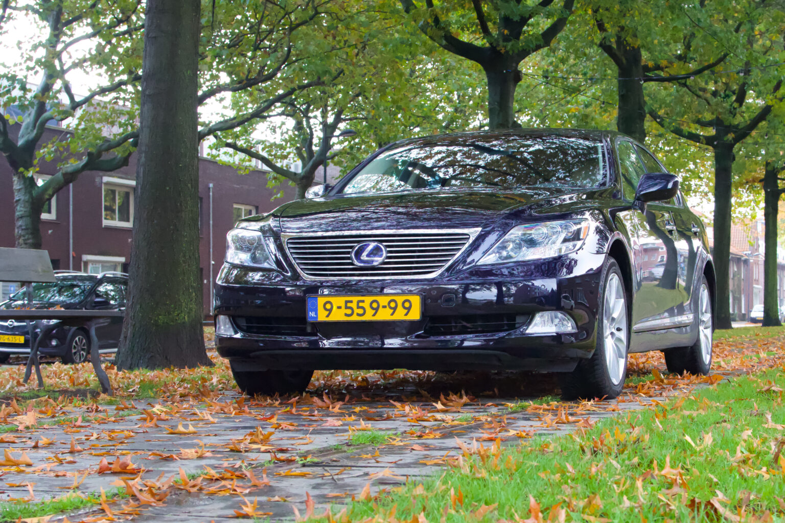 62B3A695-F54A-4974-979D-123F3629C335